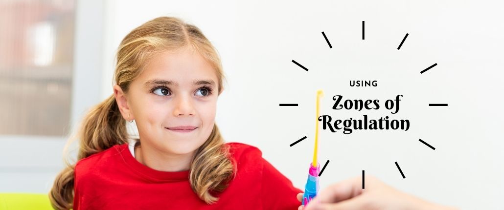 Zone of Regulations header image
