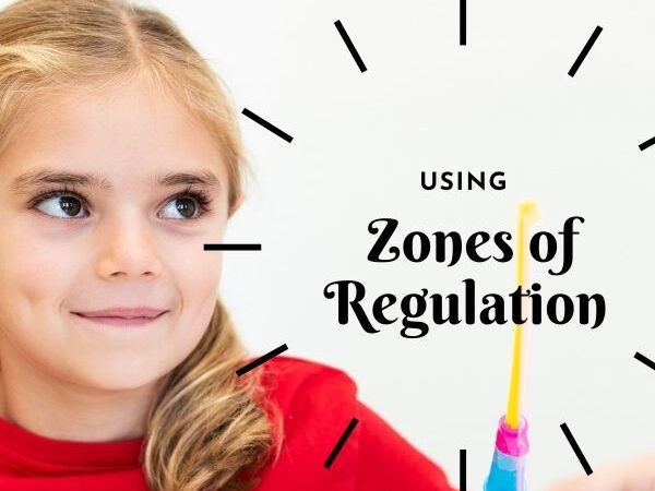 Zone of Regulations feature image